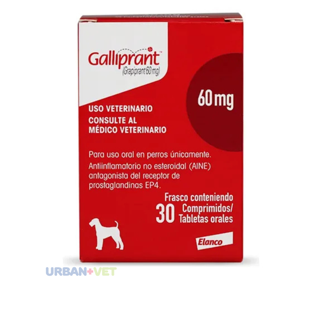 Galliprant 60 mg 30 tabs