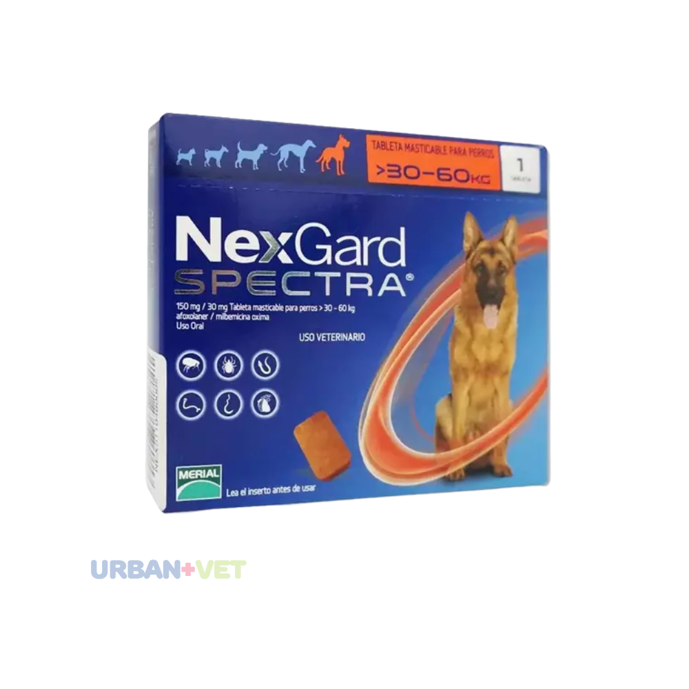NEXGARD SPECTRA XL 30.1 A 60 KG 1 COMP