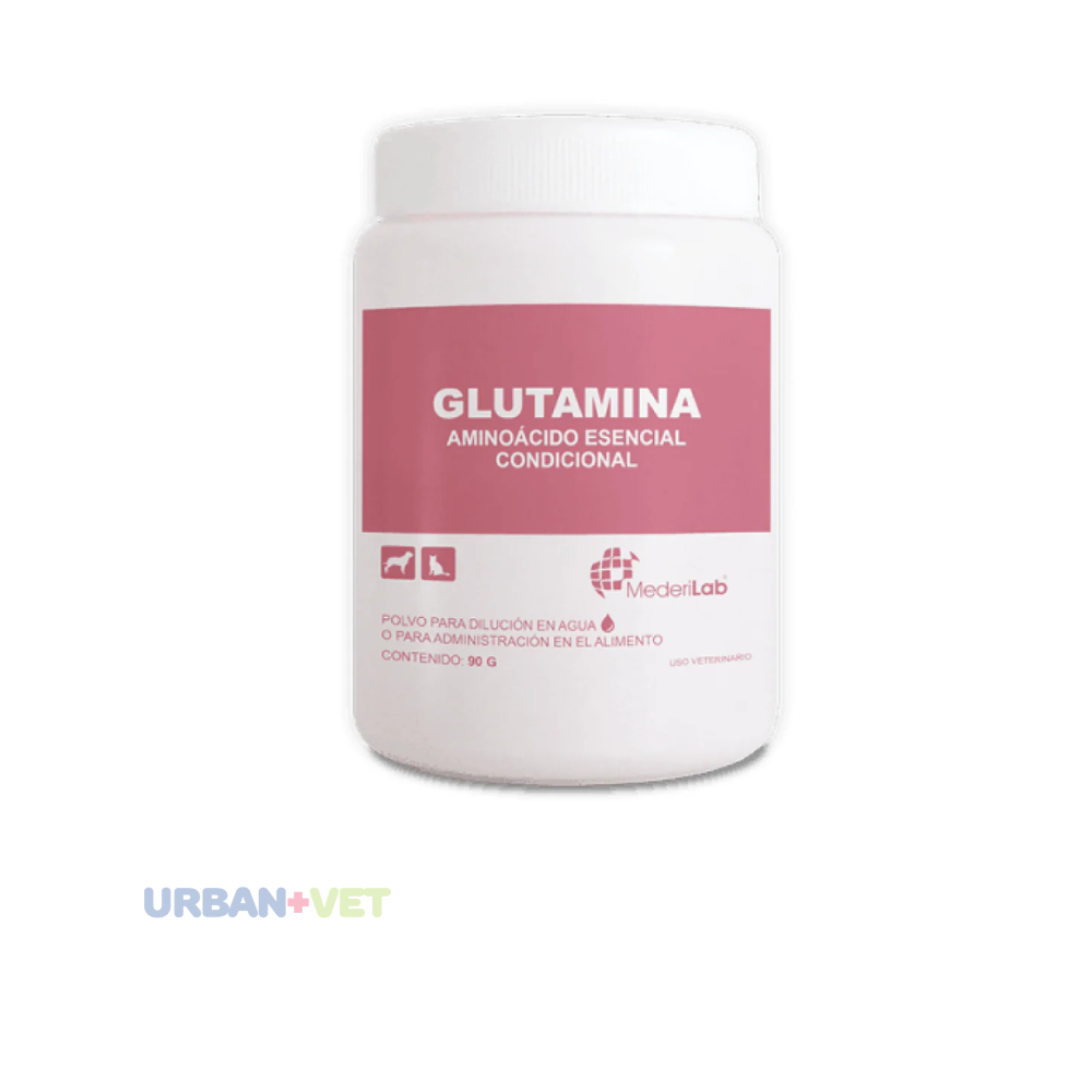 Glutamina Frasco con 90 g