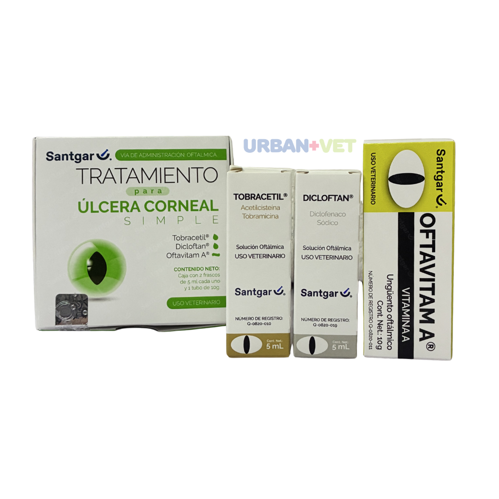 TRATAMIENTO DE ULCERA CORNEAL SIMPLE