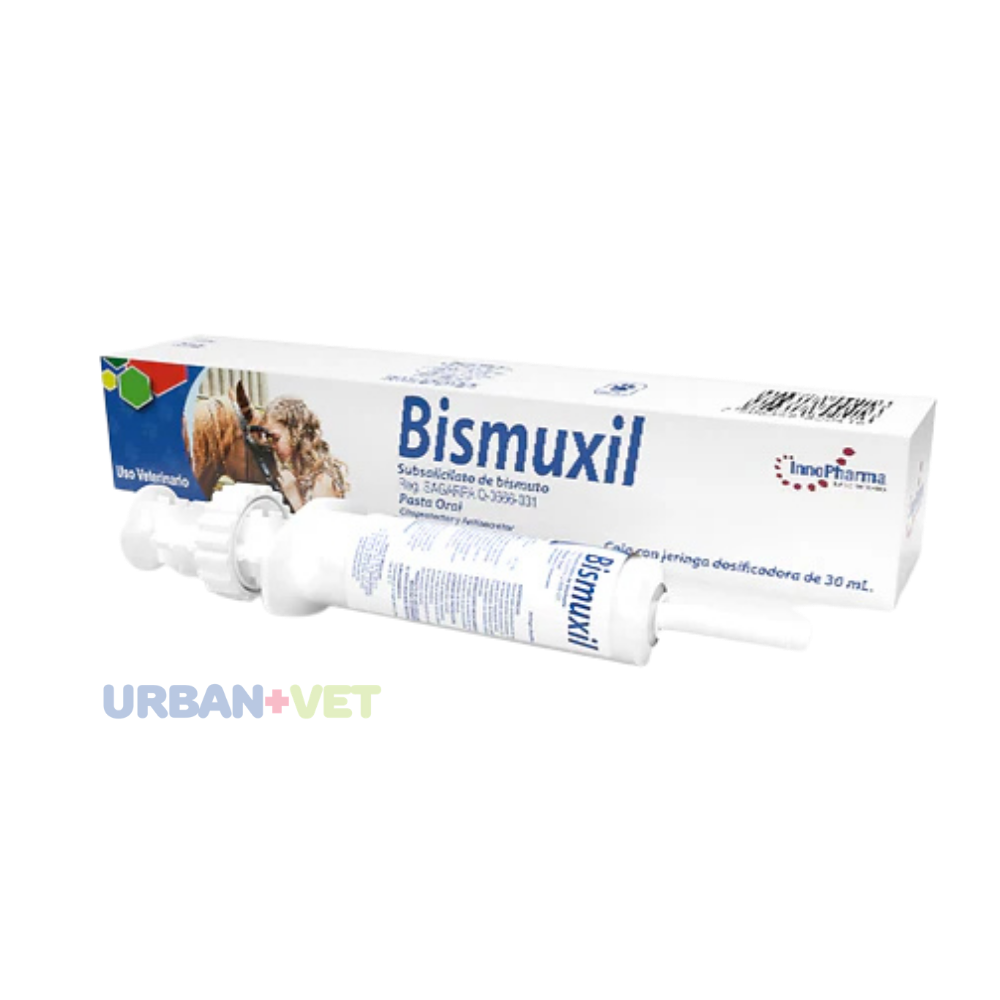 BISMUXIL PASTA 30 ML