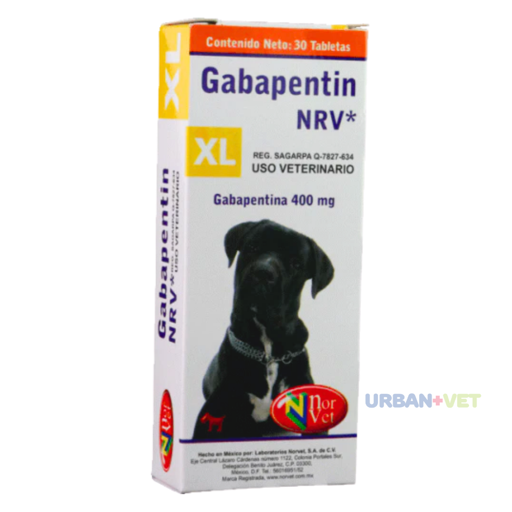 GABAPENTIN XL 400 MG 30 TABS