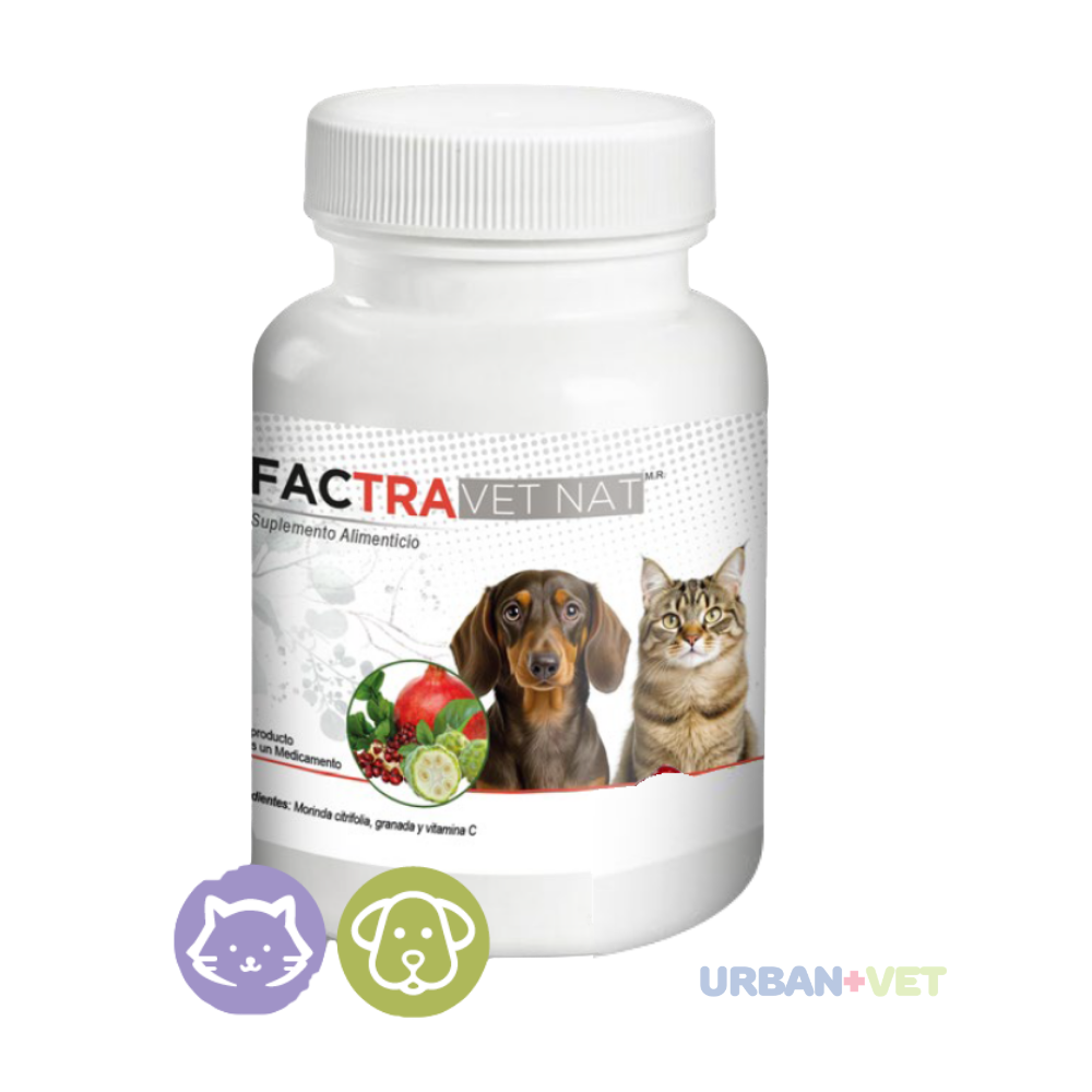 FACTRA VET NAT 60 TABS (antes factTrans)