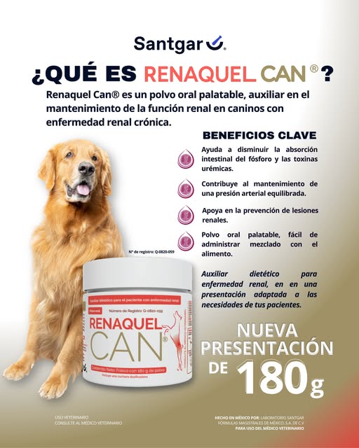 RENAQUEL CANINO 180 GRAMOS - Image 2