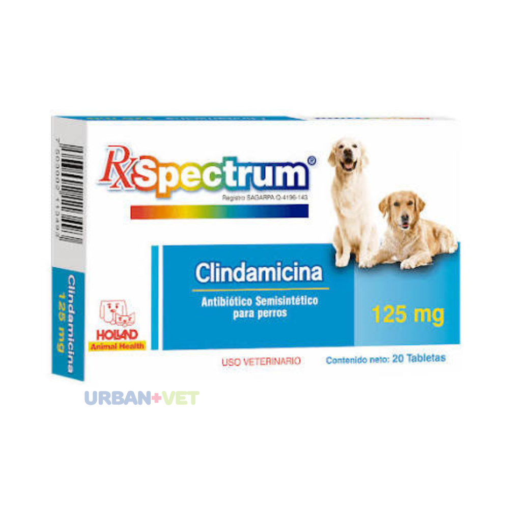 SPECTRUM CLINDAMICINA 125 MG 20 TABS