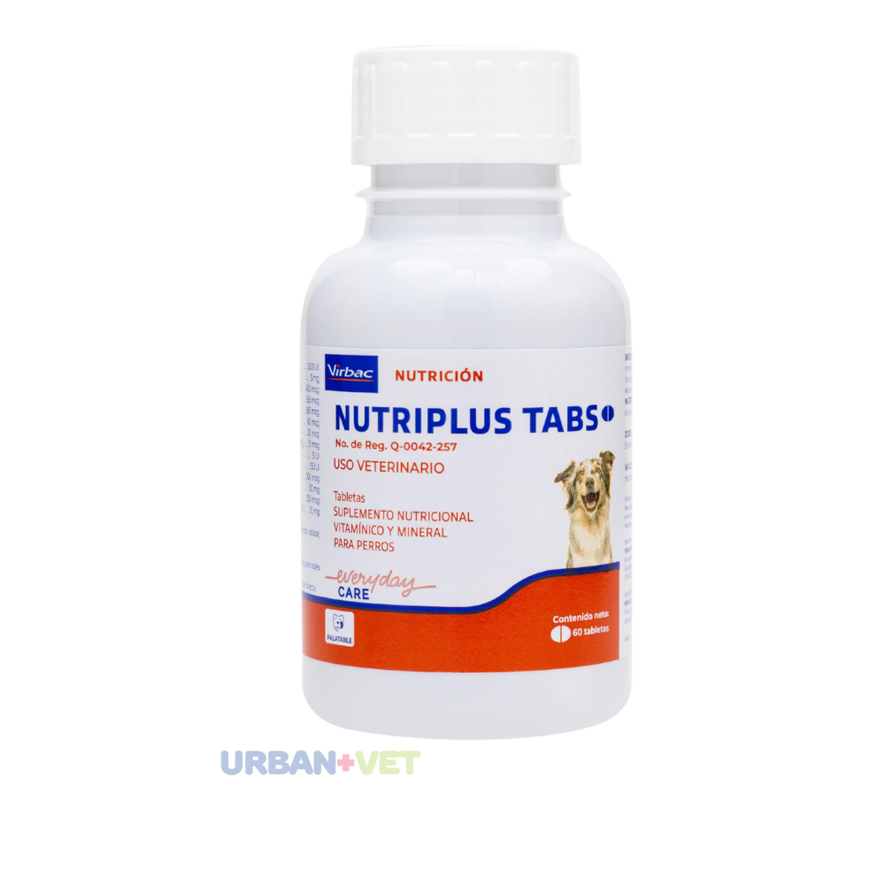 NUTRIPLUS TABS FRASCO 60 TABLETAS